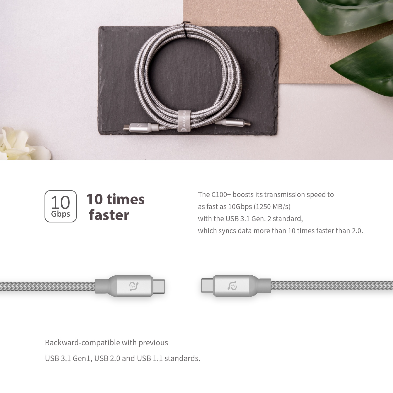 ADAM elements CASA C100+ USB3.1 USB-C to USB-C 100W Cable